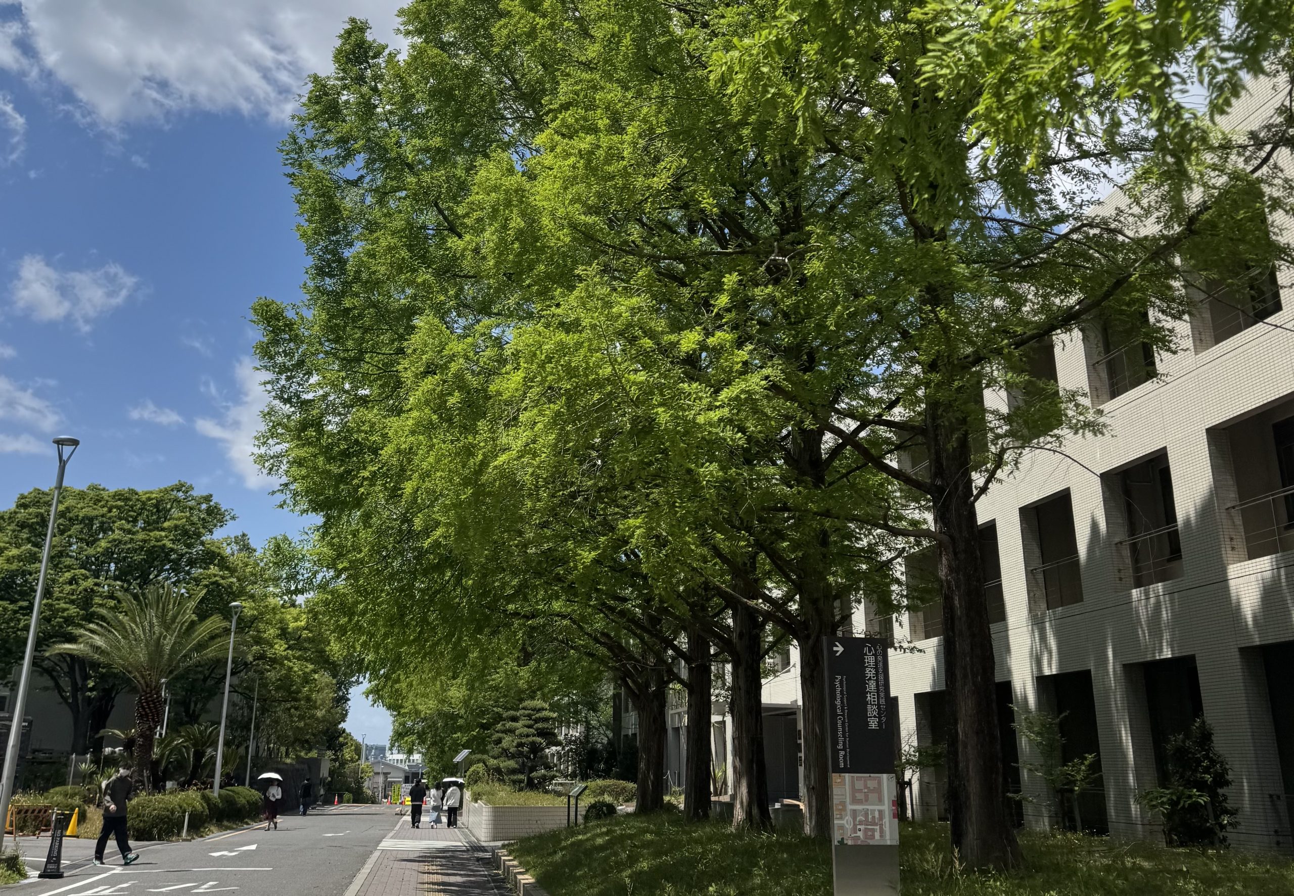 学校写真